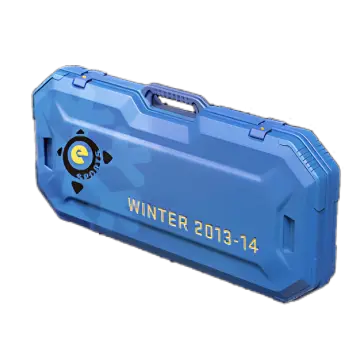 Esports 2013 winter Case