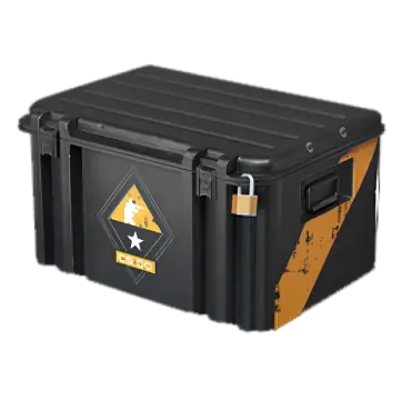Weapon Case