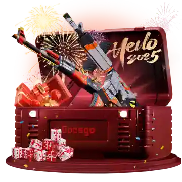 New Year Eve Party Case