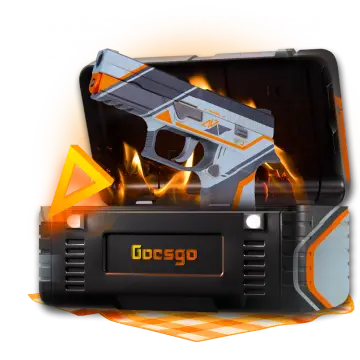 P250 Case