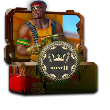 Dust 2 Collection Case