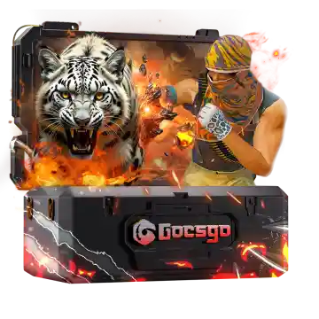 Gloves Combat Case