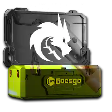 Team Spirit Case