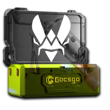 Vitality Team Case
