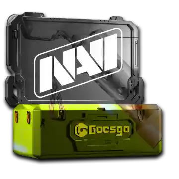 Natus Vincere Case