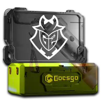G2 Esports Case