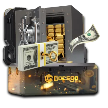 Vault Case