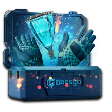 Success Case