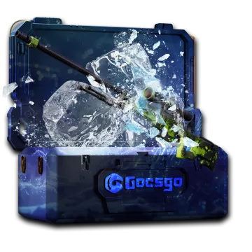 ICE Case