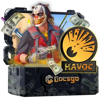 Havoc Collection Case
