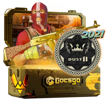 2021 Dust 2 Collection Case