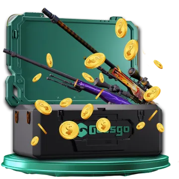 Platinum Relic Case