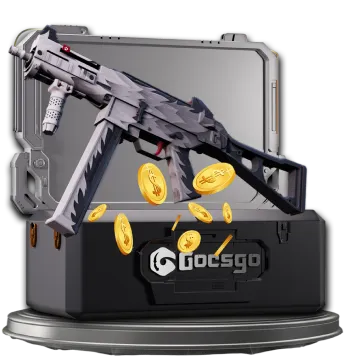 Silver Vault Case