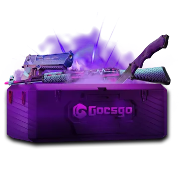 CS2 Free 2 Case