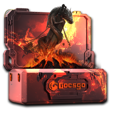 Dragon Case