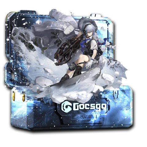 Snow Case