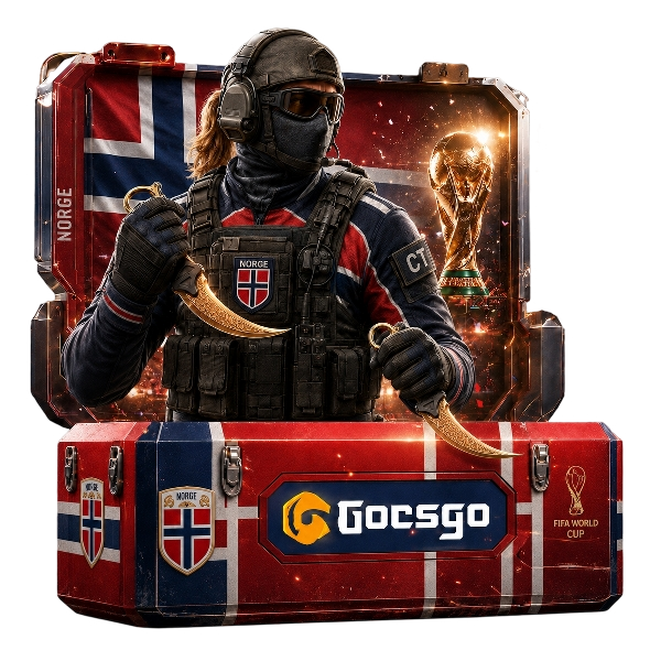 Viking Raiders Case