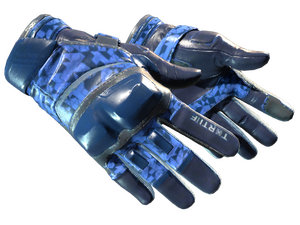 ★ Moto Gloves | Polygon (Factory New)