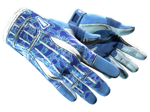 ★ Sport Gloves | Amphibious (Factory New)