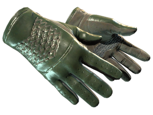 ★ Driver Gloves | Racing Green (Factory New)